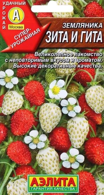 Земляника Зита и Гита Аэлита Ц