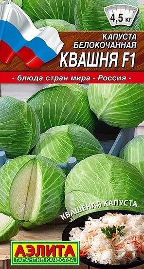 Капуста Квашня Аэлита Ц