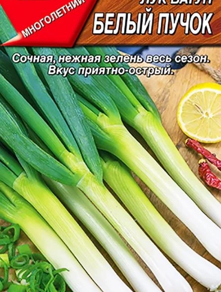 Лук на зелень Белый пучок Аэлита Ц
