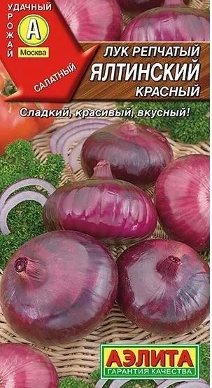 Лук Ялтинский красный Аэлита Ц