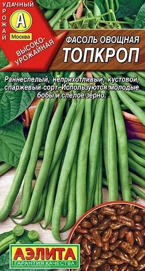 Фасоль Топкроп Аэлита Ц