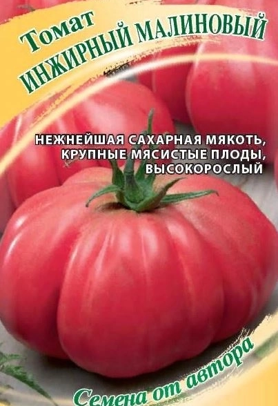 Томат Инжирный малиновый Гавриш