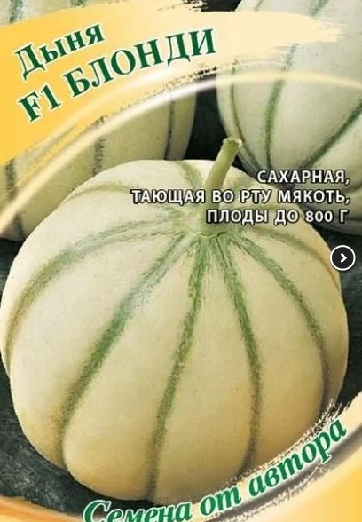 Дыня Блонди Гавриш Ц