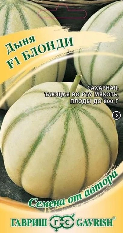 Дыня Блонди Гавриш Ц