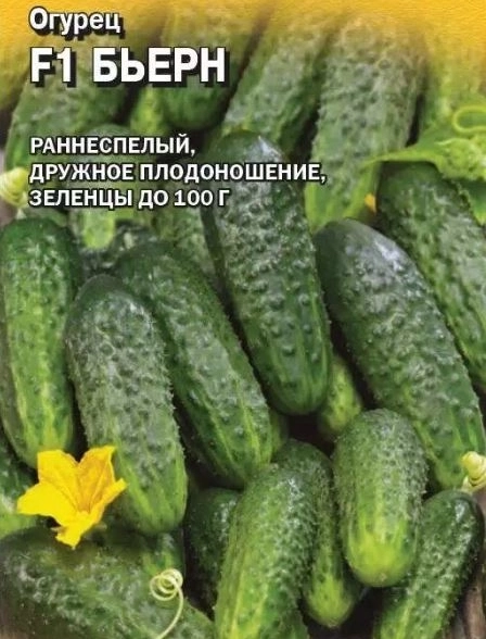 Огурец Бьерн Гавриш Ц