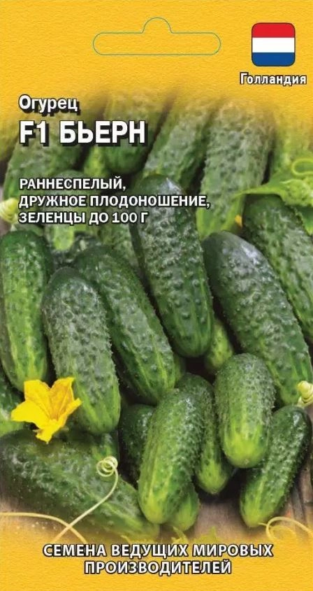 Огурец Бьерн Гавриш Ц