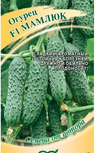 Огурец Мамлюк Гавриш Ц
