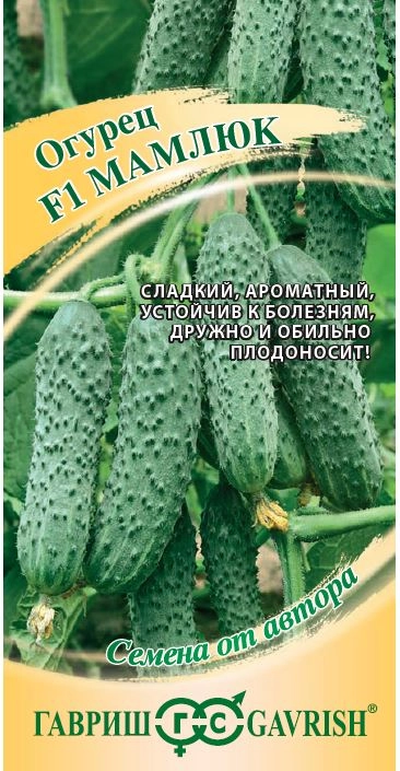 Огурец Мамлюк Гавриш Ц