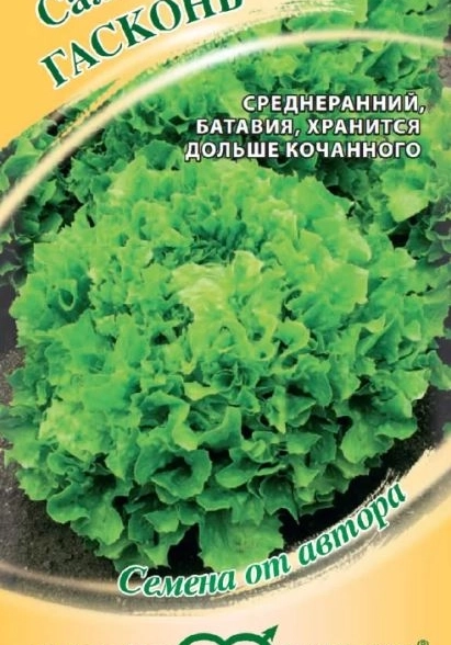 Салат Гасконь Гавриш Ц