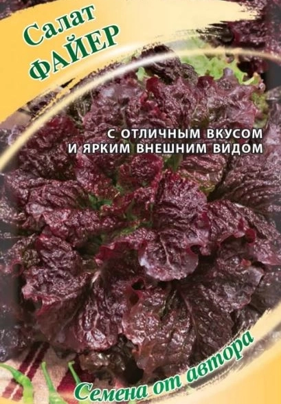 Салат Файер краснолистный Гавриш Ц