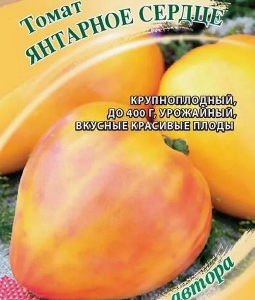 Томат Янтарное сердце Гавриш Ц