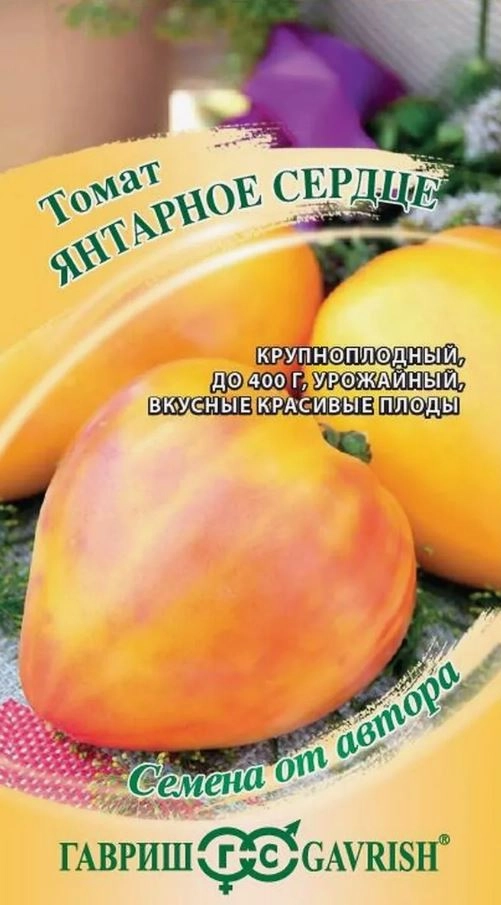 Томат Янтарное сердце Гавриш Ц