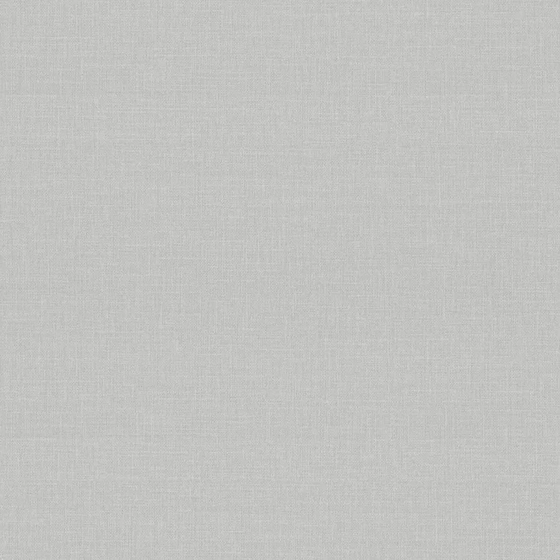 Обои EcoLine Эмбер 11157-05 флиз. 1,06Х10м