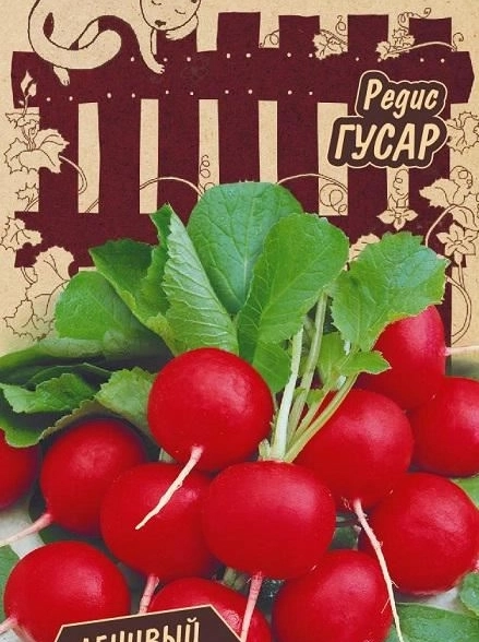 Редис Гусар Гавриш Ц