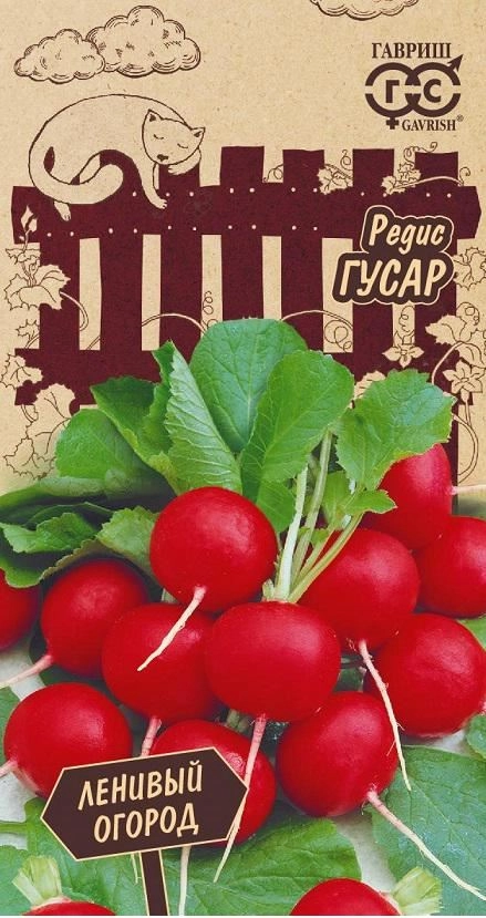 Редис Гусар Гавриш Ц