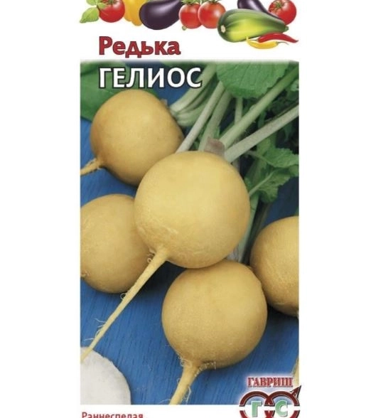Редька Гелиос желтая Гавриш Ц