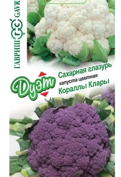 Капуста ДУЭТ цв.Сахарная глазурь+Кораллы Клары Гавриш Ц