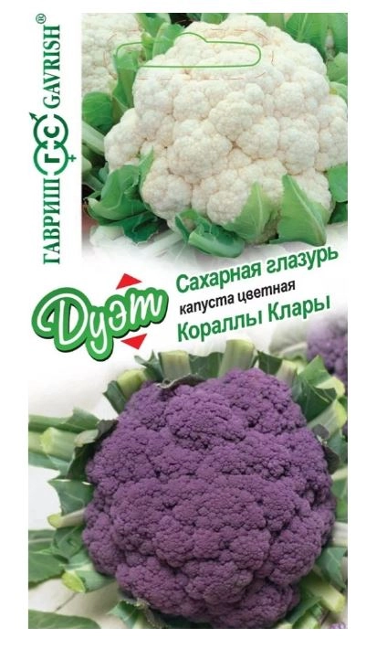 Капуста ДУЭТ цв.Сахарная глазурь+Кораллы Клары Гавриш Ц
