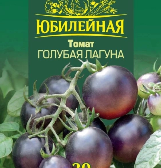 Томат Голубая лагуна серия Юбилейный Гавриш Ц