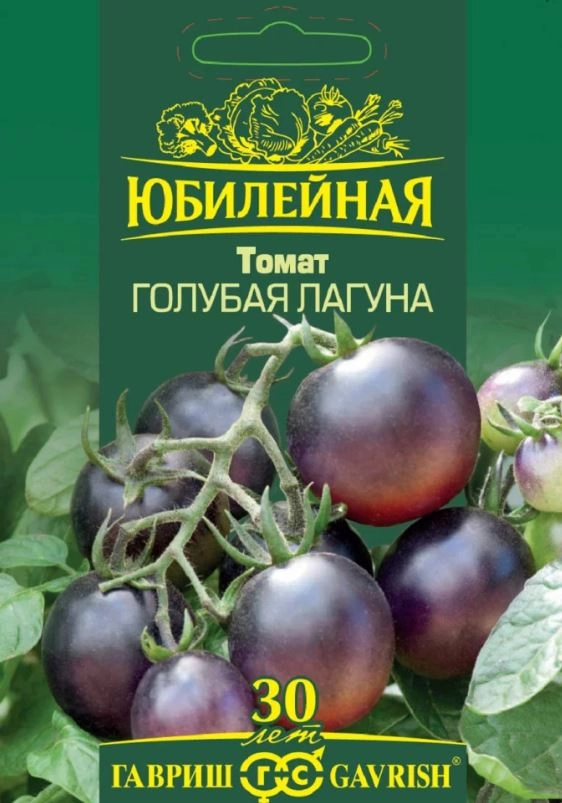 Томат Голубая лагуна серия Юбилейный Гавриш Ц