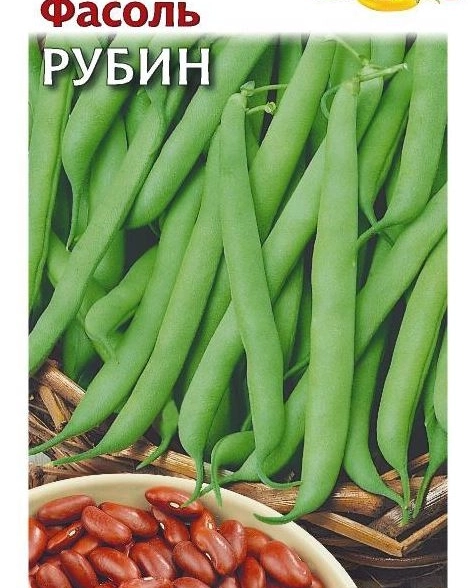 Фасоль Рубин Гавриш Ц