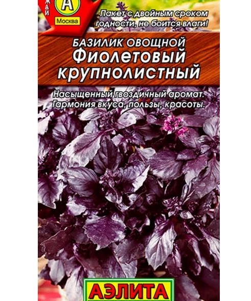 Базилик Фиолетовый Крупнолистный Аэлита Ц