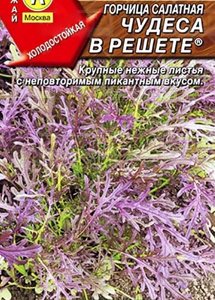 Горчица Чудеса в Решете Аэлита Ц