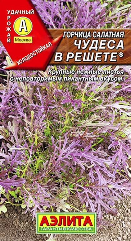 Горчица Чудеса в Решете Аэлита Ц