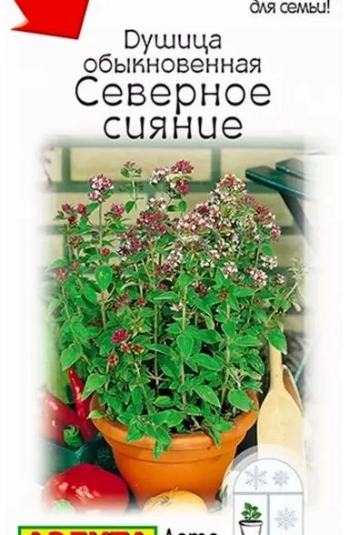 Душица Северное сияние Аэлита Ц x10