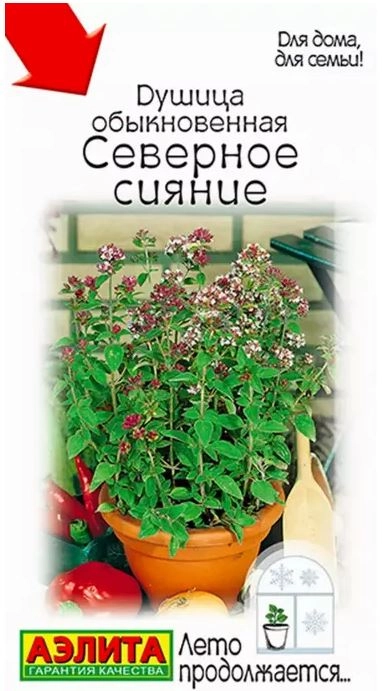 Душица Северное сияние Аэлита Ц x10