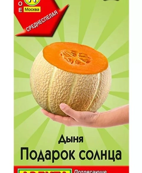Дыня Подарок Солнца Аэлита Ц