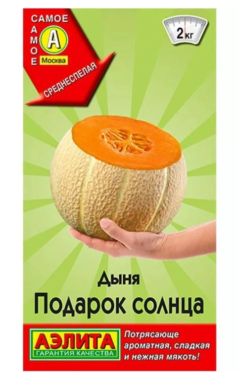 Дыня Подарок Солнца Аэлита Ц