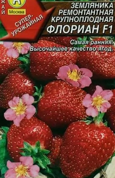 Земляника Флориан ремонтант.крупнопл.Аэлита Ц