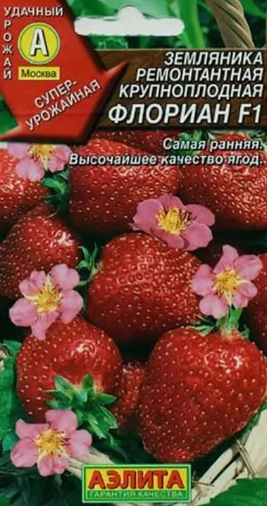 Земляника Флориан ремонтант.крупнопл.Аэлита Ц