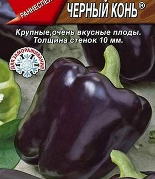 Перец Черный конь Аэлита Ц