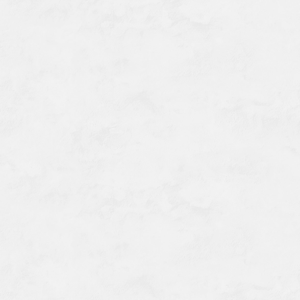 Обои VICTORIA STENOVA 588051 Револют флиз. 1,06*10м