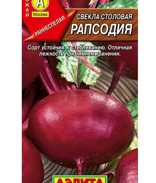 Свекла Рапсодия Аэлита Ц x10