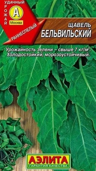 Щавель Бельвийский Аэлита Ц
