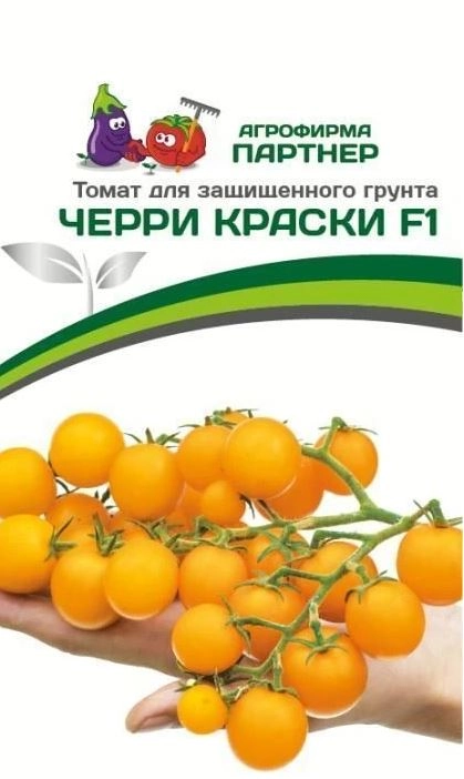 Томат Черри Краски Партнер Ц