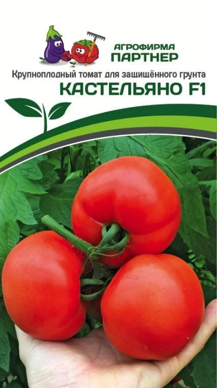 СО Томат Кастельяно Партнер Ц