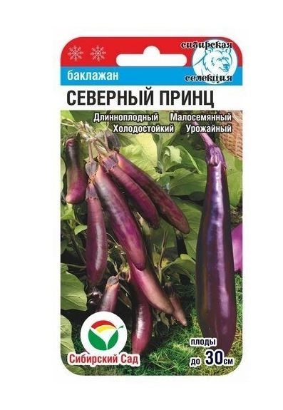 Баклажан Северный принц СибСад Ц