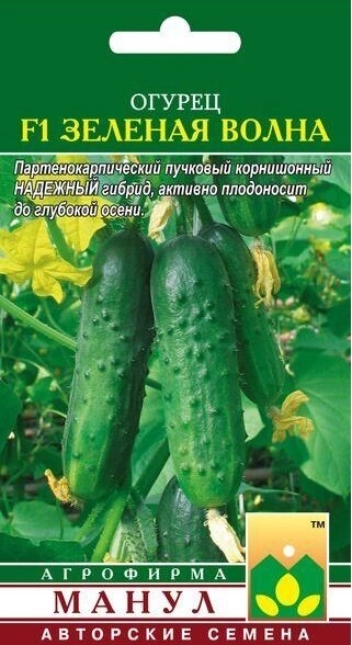 Огурец Зеленая волна Манул Ц