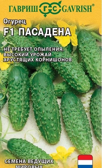 Огурец Пасадена Гавриш Ц