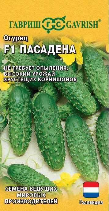 Огурец Пасадена Гавриш Ц