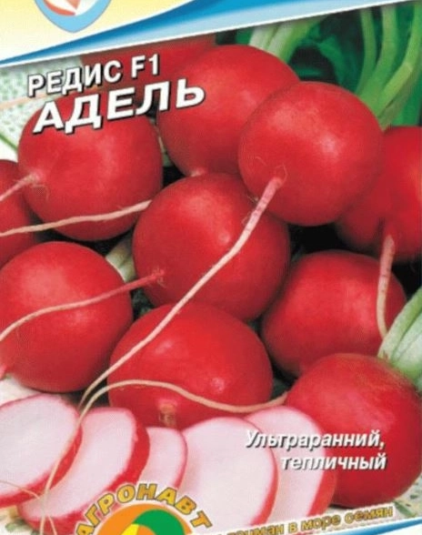 Редис Адель Наш сад Ц