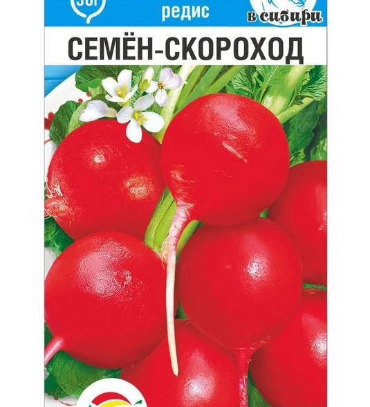 Редис Семен-Скороход СибСад Ц