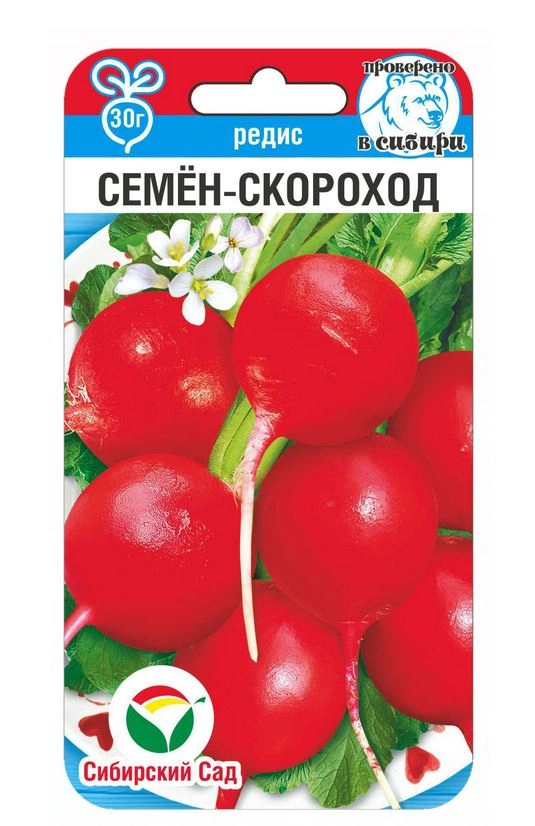 Редис Семен-Скороход СибСад Ц