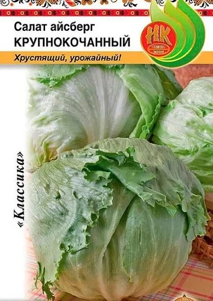Салат Айсберг (кочанный) НК Ц