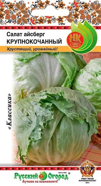 Салат Айсберг (кочанный) НК Ц
