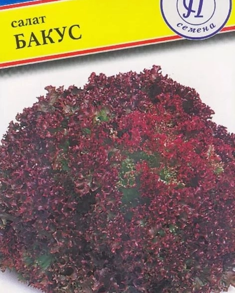 Салат Бакус Престиж Ц